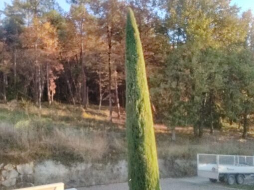 687d539fd7bb2_IMG_20211119_165147