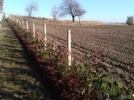 687d53a06db0c_IMG_20211220_160401