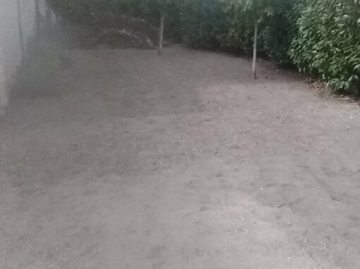 687d53a108e3e_IMG_20221007_151115