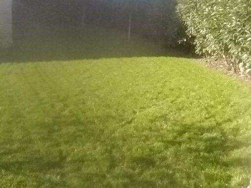 687d53a12ee39_IMG_20221107_150232