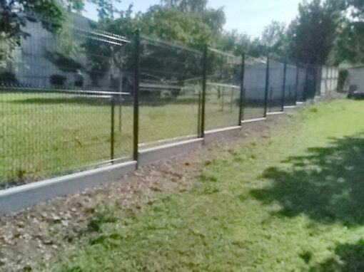 687d53a150011_IMG_20230612_095600