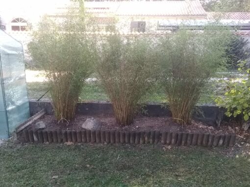 687d53a18fad5_IMG_20231009_114803